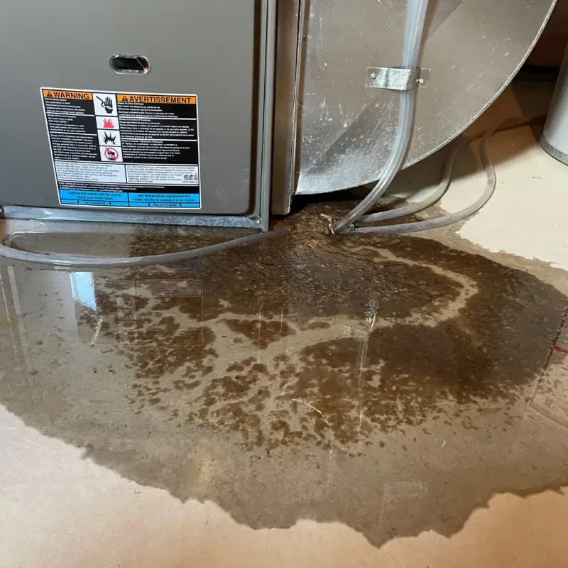 Appliance Leak Cleanup in Wray, CO