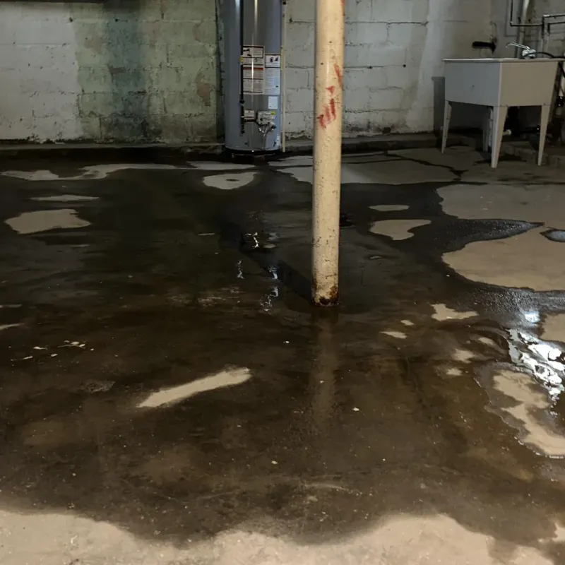 Emergency Water Extraction And Removal in Wray, CO